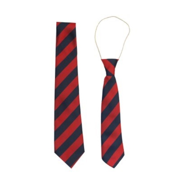 SCOTTS PARK TIE, BOYS UNIFORM, GIRLS UNIFORM
