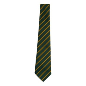 WICKHAM COMMON TIE, GIRLS UNIFORM, BOYS UNIFORM
