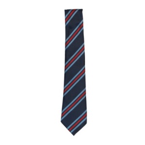 HAYES YR11 TIE, Uniform A