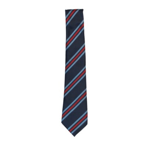 HAYES YR11 TIE, Uniform A