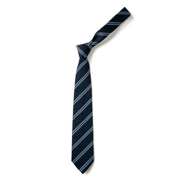 LA FONTAINE ELASTIC TIE(ORDER), La Fontaine Academy